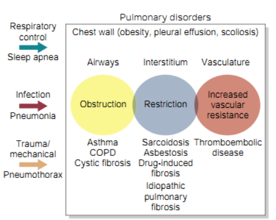 Classifion of the pulmonary diseases